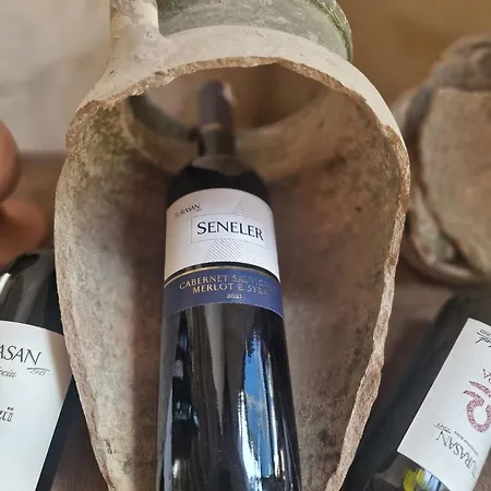 酒店 Serenus Cave